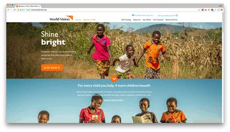 website designer for non profit.